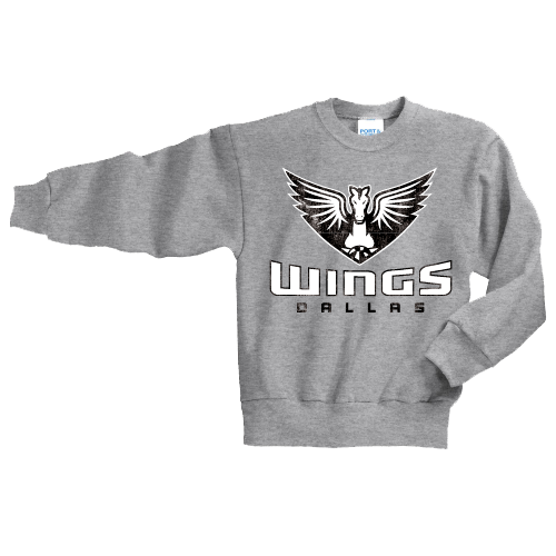 Retro Wings Youth Sweatshirt